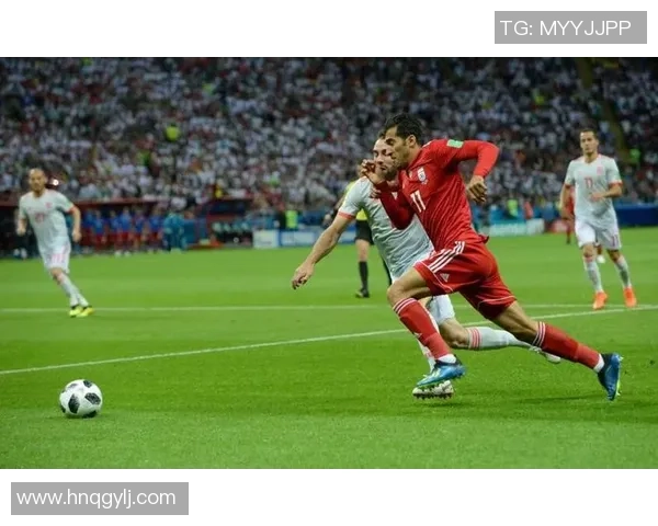 成都排球队区域防守的秘密武器与战术解析 成都排球队区域防守的秘密武器与战术解析