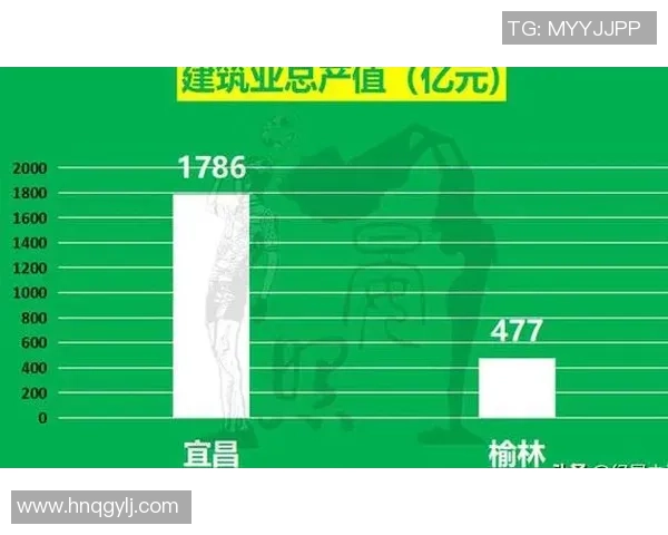 武汉乒乓球队以73分稳居挑战赛积分榜首位展现强劲实力
